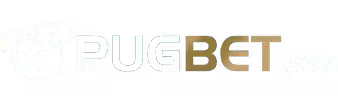 Saque pendente blaze - Ubbet
