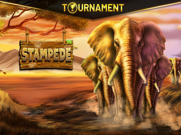 Tunisia jogo